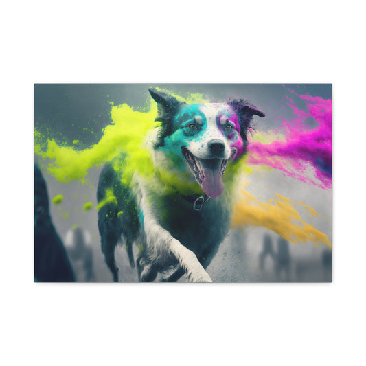 Fetch